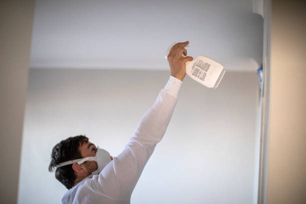 Best Local Mold Removal Service  in Odessa, FL