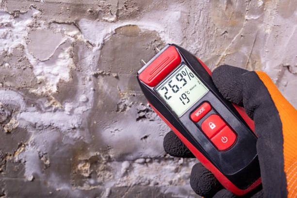 Best Mold Remediation Services  in Odessa, FL
